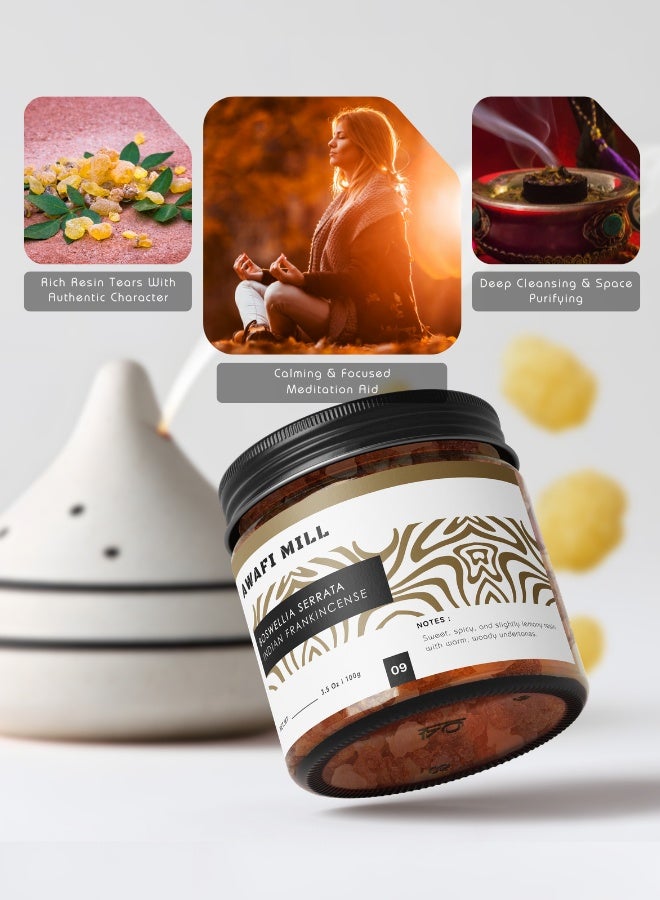 AWAFI MILL Boswellia serrata (Indian Frankincense) Incense Resin 100g (3.5 oz) | Salai/Salai Guggul Tears for Charcoal and Bakhoor Burners | Fresh Citrus-Resinous, Balsamic Aroma - Image 2