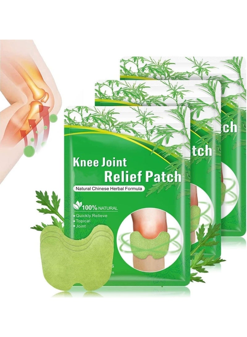 Sefudun Knee Relief Patch, Wormwood Pain Relief Plasters, Knee Relief Patches Kit Quick Relief of Pains for Knee,Waist, Back, Neck, Shoulder, Joints Pain 36 Patches - Image 1