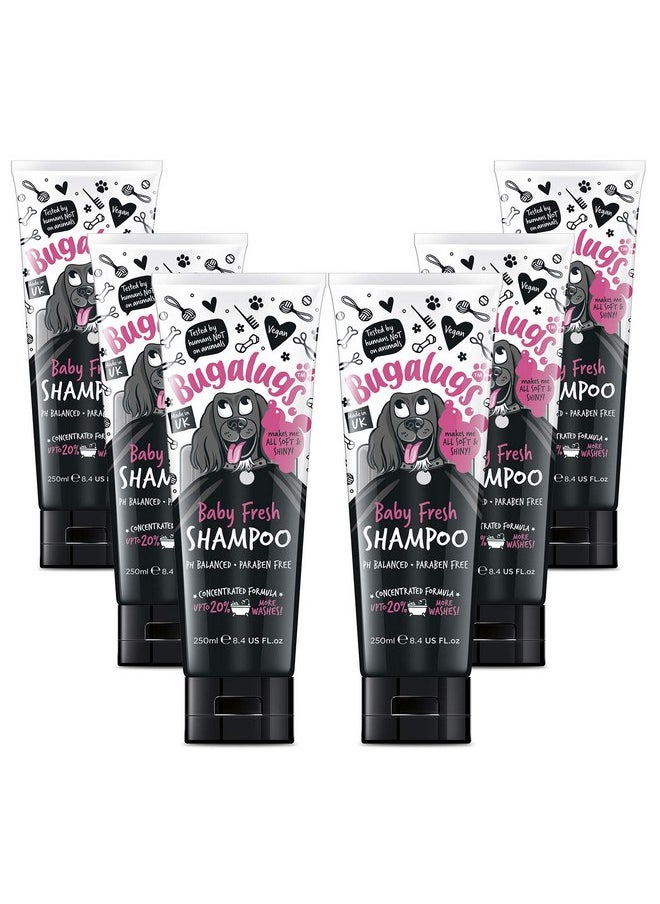 BUGALUGS Baby Fresh Dog Shampoo Dog Grooming Shampoo Products for Smelly Dogs with Baby Powder Scent, Best Puppy Shampoo Baby Fresh, Shampoo Conditioner, Vegan pet Shampoo Professional… (6X 250ml)