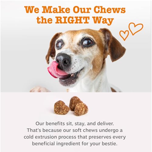 Zesty Paws Puppy Probiotics for Dogs - for Digestive Health, Gut Flora & Immune System Support - Dog Probiotics for Puppies with Bacillus subtilis & Pumpkin - 90 Count - Image 5