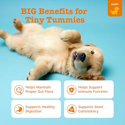 Zesty Paws Puppy Probiotics for Dogs - for Digestive Health, Gut Flora & Immune System Support - Dog Probiotics for Puppies with Bacillus subtilis & Pumpkin - 90 Count - Image 2