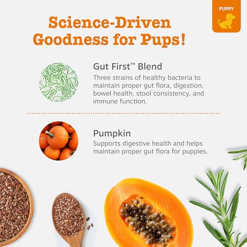 Zesty Paws Puppy Probiotics for Dogs - for Digestive Health, Gut Flora & Immune System Support - Dog Probiotics for Puppies with Bacillus subtilis & Pumpkin - 90 Count - Image 3