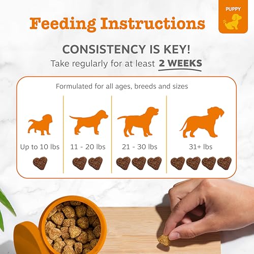 Zesty Paws Puppy Probiotics for Dogs - for Digestive Health, Gut Flora & Immune System Support - Dog Probiotics for Puppies with Bacillus subtilis & Pumpkin - 90 Count - Image 4