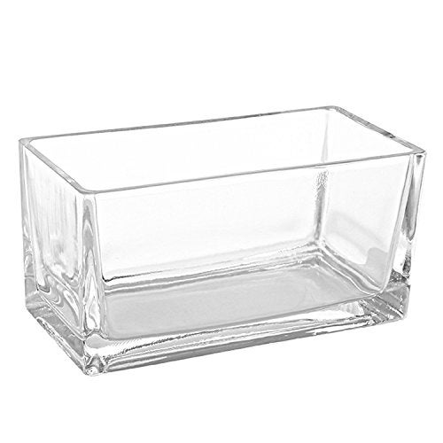 MyGift 7.8 inch Modern Rectangular Glass Vase, Trough Planter, Tabletop Glass Terrarium - Image 1