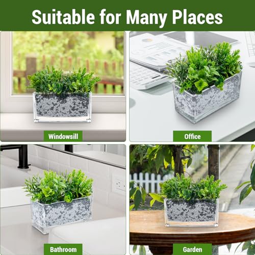 MyGift 7.8 inch Modern Rectangular Glass Vase, Trough Planter, Tabletop Glass Terrarium - Image 4