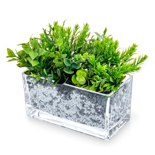 MyGift 7.8 inch Modern Rectangular Glass Vase, Trough Planter, Tabletop Glass Terrarium - Image 2