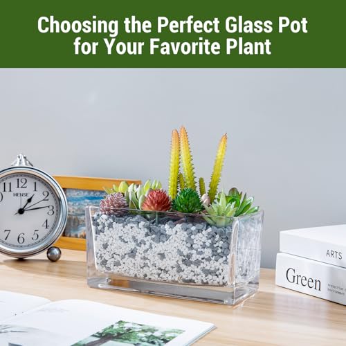 MyGift 7.8 inch Modern Rectangular Glass Vase, Trough Planter, Tabletop Glass Terrarium - Image 3