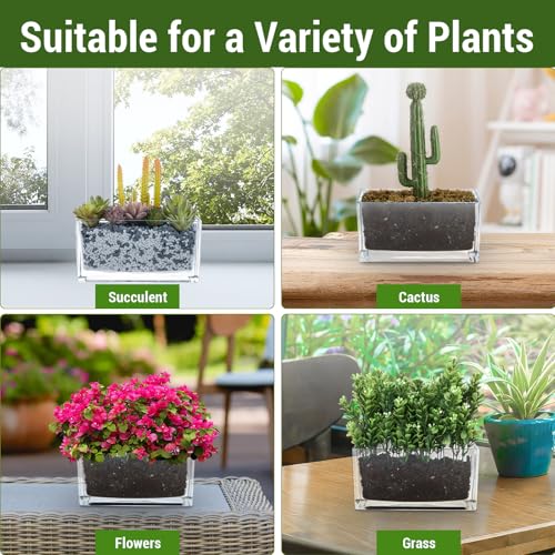 MyGift 7.8 inch Modern Rectangular Glass Vase, Trough Planter, Tabletop Glass Terrarium - Image 5
