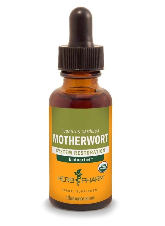 HERB PHARM Certified Organic Motherwort Liquid Extract for Endocrine System Support - 1 Ounce  - Image 1