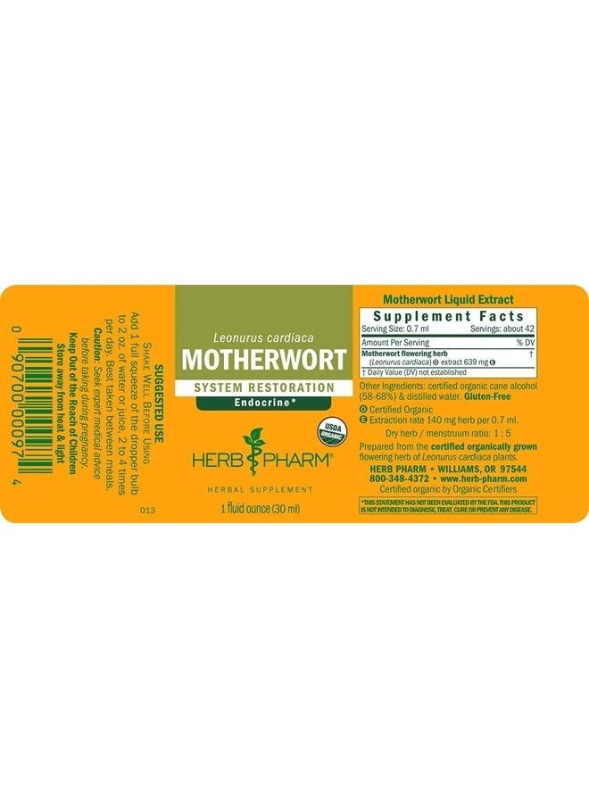 HERB PHARM Certified Organic Motherwort Liquid Extract for Endocrine System Support - 1 Ounce  - Image 2