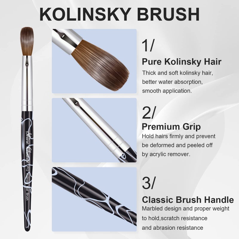 Shine Chance Acrylic Nail Art Brush Size 12, 100% Pure Kolinsky Hair Oval for Application, Professional Extension Manicure Tool Striping Drawing Pen DIY Home Salon, Black, 1.0 Count - Image 5