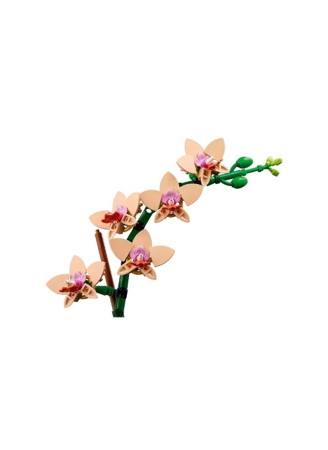 LEGO LEGO - Icons Mini Orchid 274 Pieces - 10343  - Image 2