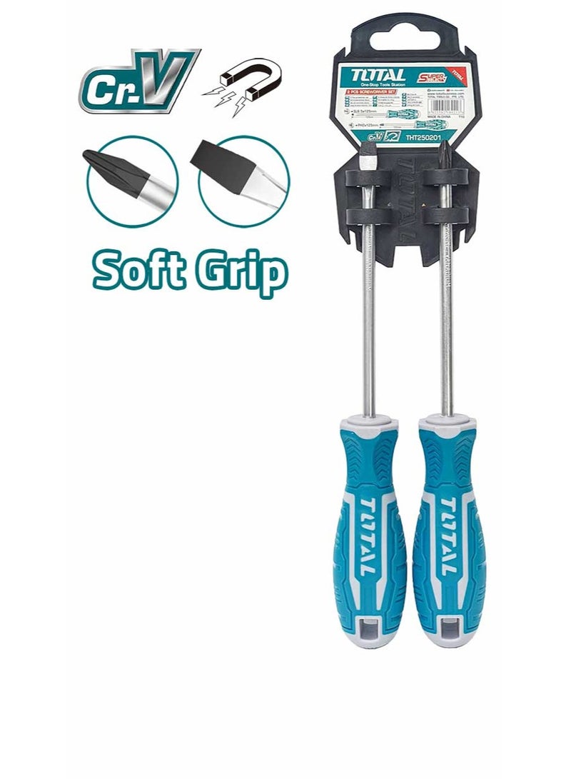 TOTAL TOTAL 2PCS Go-Through Screwdriver Set – S2 Industrial Steel, Hex Shank, SL6.5 & PH2 for Heavy-Duty Applications – Durable Plastic Hanger Packaging  - Image 2