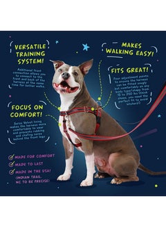 2 HOUNDS DESIGN 2 Hounds Design Freedom No Pull Dog Harness | Comfortable Control for Easy Walking | Adjustable Dog Harness | Small, Medium & Large Dogs | Made in USA | Solid Colors | 1" MD Teal  - Image 4