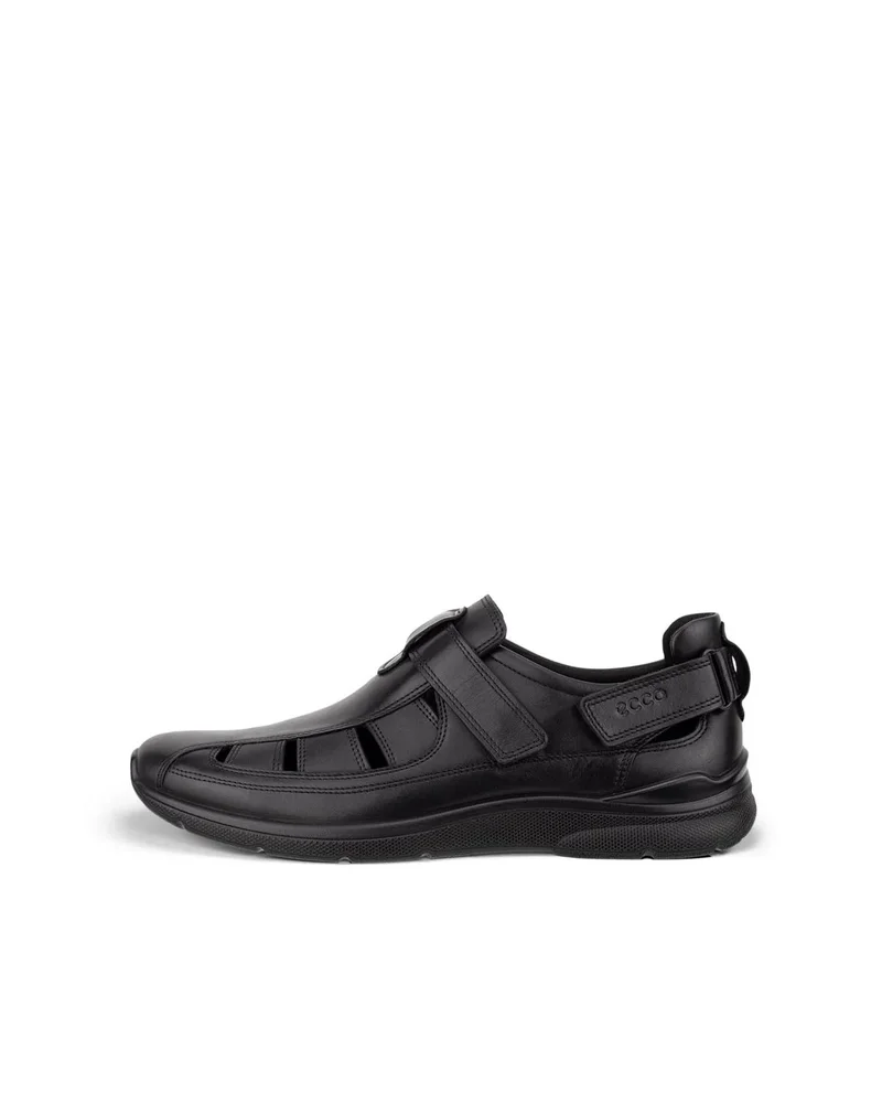 ECCO Irving Fisherman