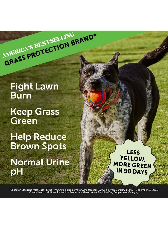 بيتونستي Grass Green - Pee Grass Spot Saver التي يسببها بول الكلب، البروبيوتيك لصحة الأمعاء، محايد بول الكلب للحديقة، مضغ بقع حرق العشب، التوت البري، خل التفاح، Dog Rock (تركيا 90 قطعة) - Image 2