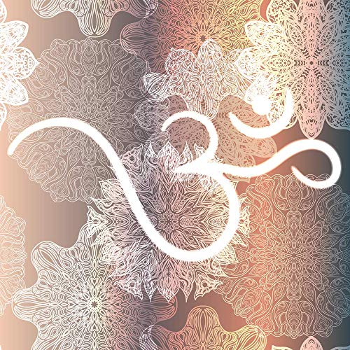 5 Ace Paper Om Lord Goddess Religious Photo Sticker for Pooja (12x18 inch, Multicolour) - Image 1