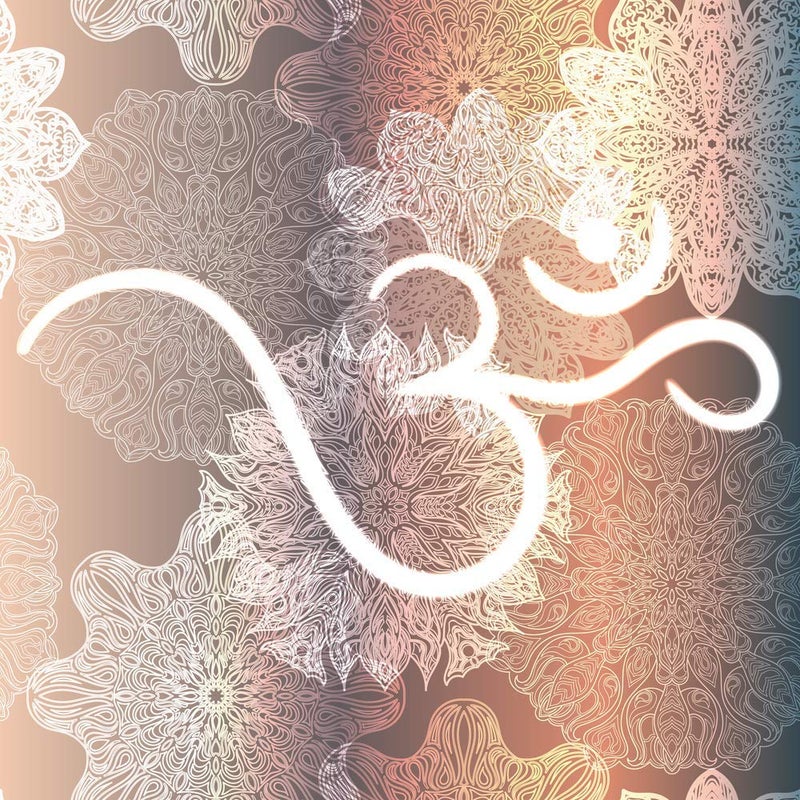 5 Ace Paper Om Lord Goddess Religious Photo Sticker for Pooja (12x18 inch, Multicolour) - Image 5