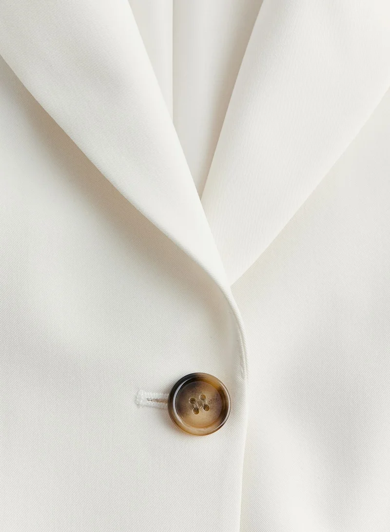 اتش اند ام Single-Breasted Blazer