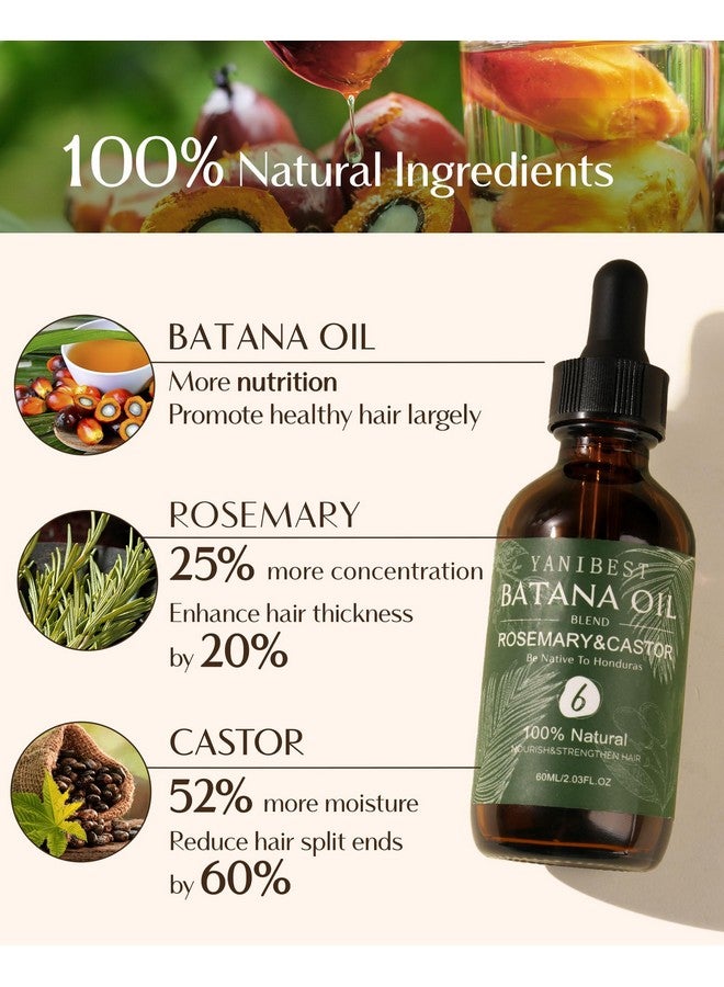 يانيبست زيت باتانا من يانيبيست، يعزز كثافة الشعر، يغذي فروة الرأس، يخفف الجفاف والحكة، يحسن صحة فروة الرأس - Image 2