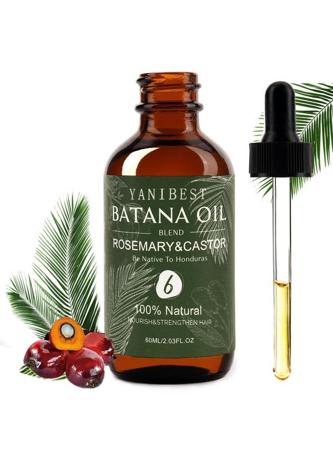 يانيبست زيت باتانا من يانيبيست، يعزز كثافة الشعر، يغذي فروة الرأس، يخفف الجفاف والحكة، يحسن صحة فروة الرأس - Image 1