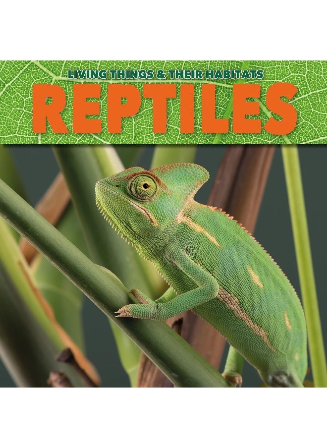 Reptiles  - Image 1