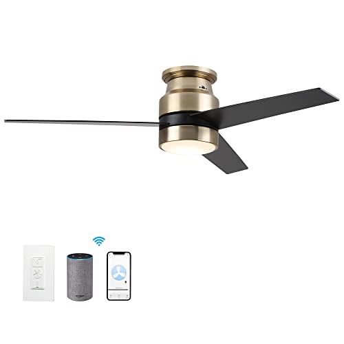 Carro Carro 52 inch Low Profile Ceiling Fan with Light Smart Ceiling Fan with Light Work with AlexaGoogle AssistantSiri Short CutReversible MotorSchedule Needs GroundNeutralLive Wire No Remote 