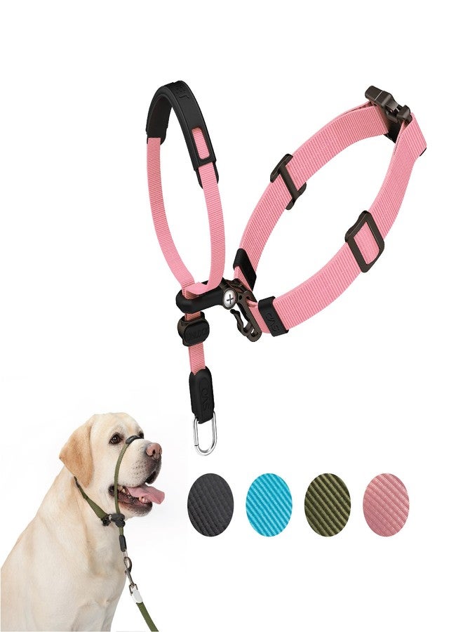 SVD.PET No-Pull Dog Headcollar for Easier Walks, Chew-Proof Protector to Increase Comfort, Simple Design, Easy to Wear and Adjust (Medium Size for Small and Medium Size Dogs, Pink) - Image 1