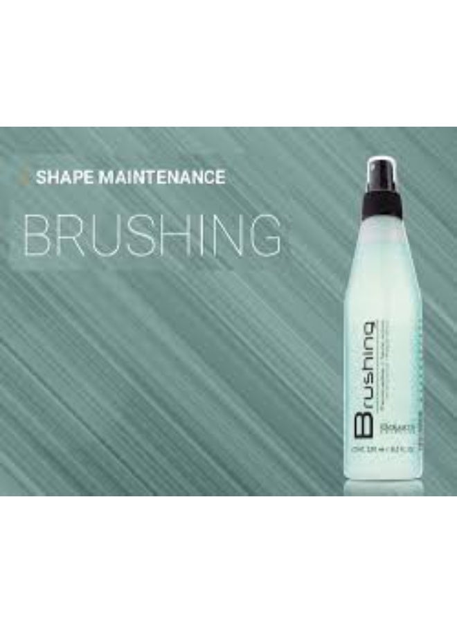 ساليرم فرشاة ساليرم للحماية الحرارية 250 مل - Image 3