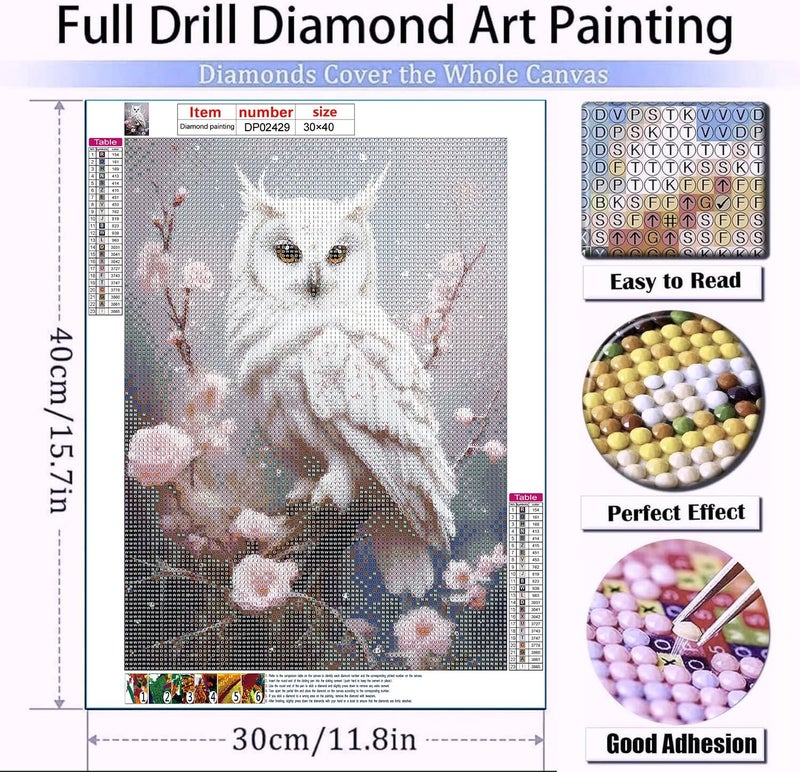 AIBOERL Owl Diamond Art Kits for Adults,Flower 5D Diamond Painting Kits for Adults Beginners,DIY Full Round Drill Diamond Dot Painting Gem Art Kits for Adult, Home Wall Decor 12x16Inch - Image 4