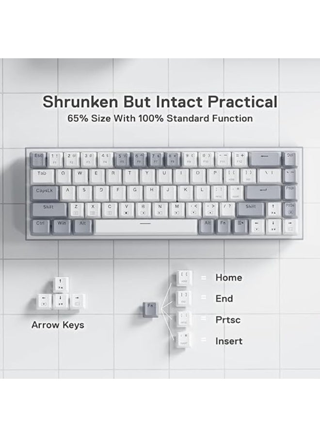 K631 Castor Grey 65% RGB Mechanical Gaming Keyboard – 68-Key Compact Wired Keyboard with Quiet Red Switches, Hot-Swappable Sockets, Dedicated Arrow Keys & Free-Mod Plate-Mounted PCB  - Image 5