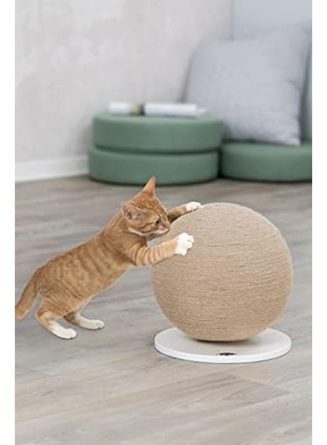 تريكسي كرة حك على طبق من خشب الجوت قطر 29 × 31 سم - Image 3