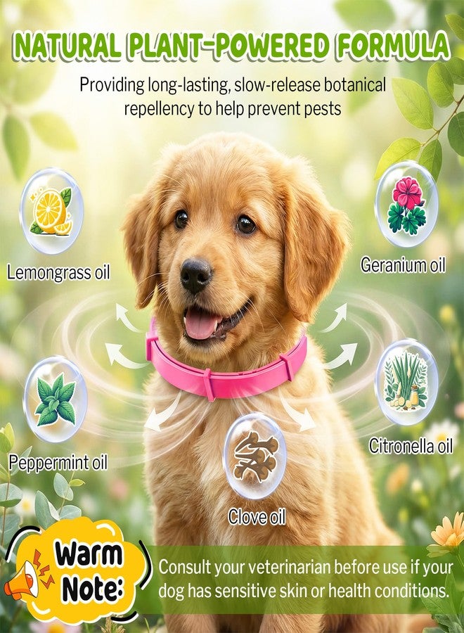 Mysora Flea and Tick Collar for Dogs, Dog Collars with Natural Essential Oils, Waterproof, Adjustable Size for Small Medium and Large Dog, Flea Prevention and Tick Control for Puppies(2 Pack,Pink) - Image 2