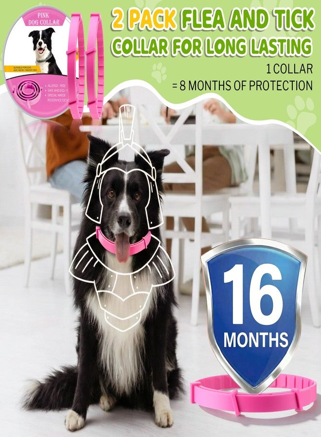 Mysora Flea and Tick Collar for Dogs, Dog Collars with Natural Essential Oils, Waterproof, Adjustable Size for Small Medium and Large Dog, Flea Prevention and Tick Control for Puppies(2 Pack,Pink) - Image 5