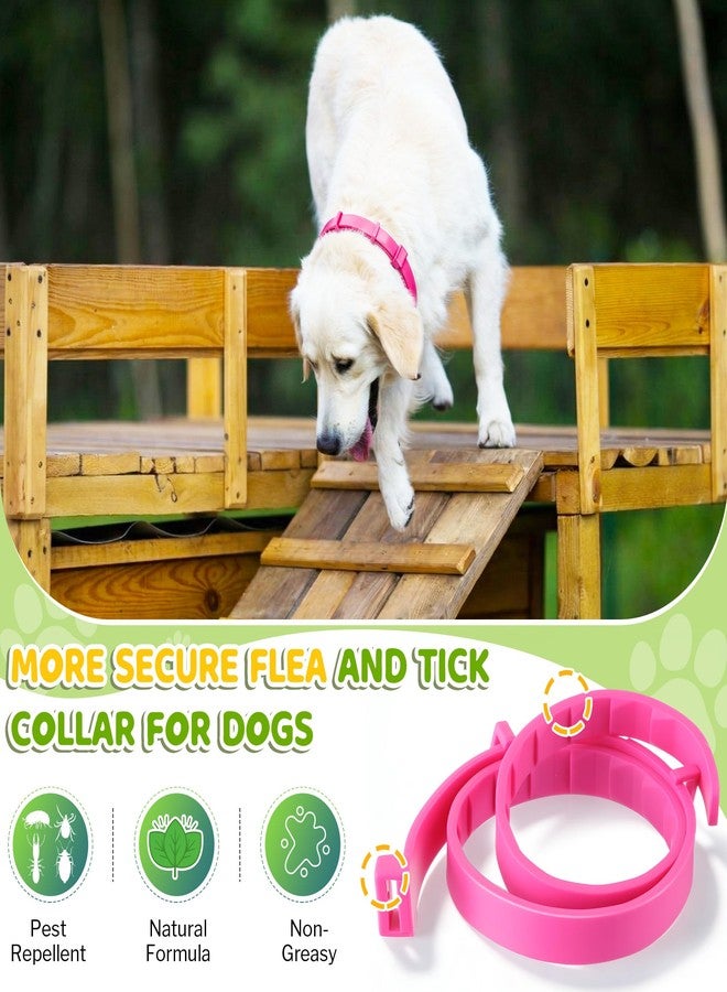 Mysora Flea and Tick Collar for Dogs, Dog Collars with Natural Essential Oils, Waterproof, Adjustable Size for Small Medium and Large Dog, Flea Prevention and Tick Control for Puppies(2 Pack,Pink) - Image 4