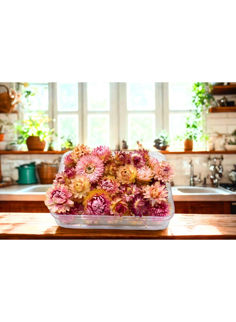 FANCY FLOWERS FANCY Dried Helichrysum Flowers, Natural Assorted (PINK, SMALL) - Image 2