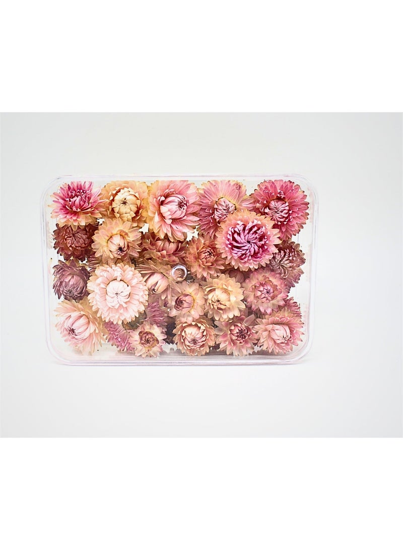 FANCY FLOWERS FANCY Dried Helichrysum Flowers, Natural Assorted (PINK, SMALL) - Image 4