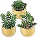 Briful Small Artificial Succulents in Pots Set of 3 Realistic Faux Succulents Plants with Gold Ceramic Pots Cute Mini - Image 2