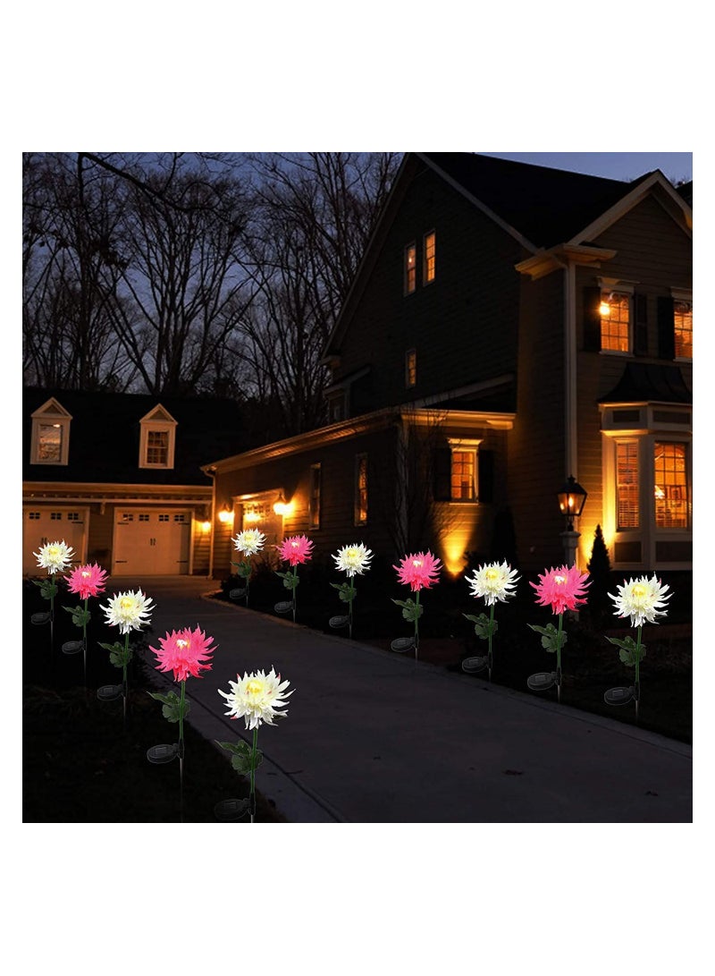 GGEROU Solar Outdoor Lights Solar Flowers 6 Pack Solar Powered Chrysanthemum Lights IP 65 Waterproof Solar Landscape Lights for Garden, Patio Lawn Pathway, Backyard Cemetery  - Image 5