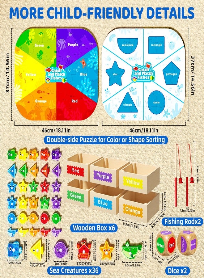 edutree Montessori Toys for Toddlers 1-3, Magnetic Fishing Game for Kids 2-4, Color & Shape Sorter Educational Learning Toys with Wooden Box & Puzzle for Boys Girls 3-5 - Image 5