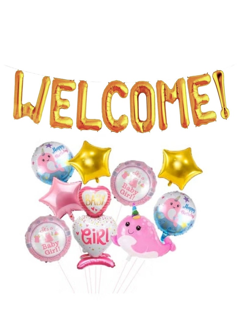 Its Baby Girl Banner And Balloon Set To Welcome New Born And Gender Reveal Party - Image 1