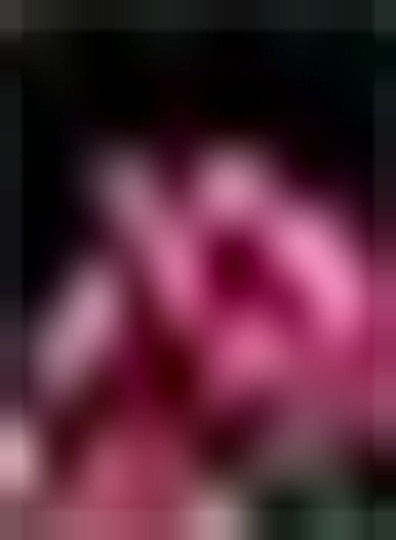 GGOOT 100Stück rosafarbene Petunien Samen mehrjährig mit dekorativem Wert eine der beliebtesten Blumen genießen Sie die Freude am Anbau einfache Pflege - Image 1