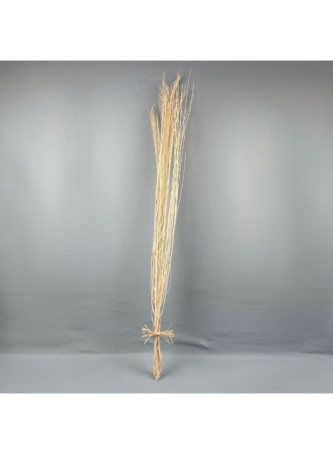DANUBE HOME Danube Home Fleur Yanagi Natural Flower Decoration - 60Cm Preserved Dried Flowers In Brown Timeless Home Decor Collection Long-Lasting Floral Bouquet Decorative Home Accessories 