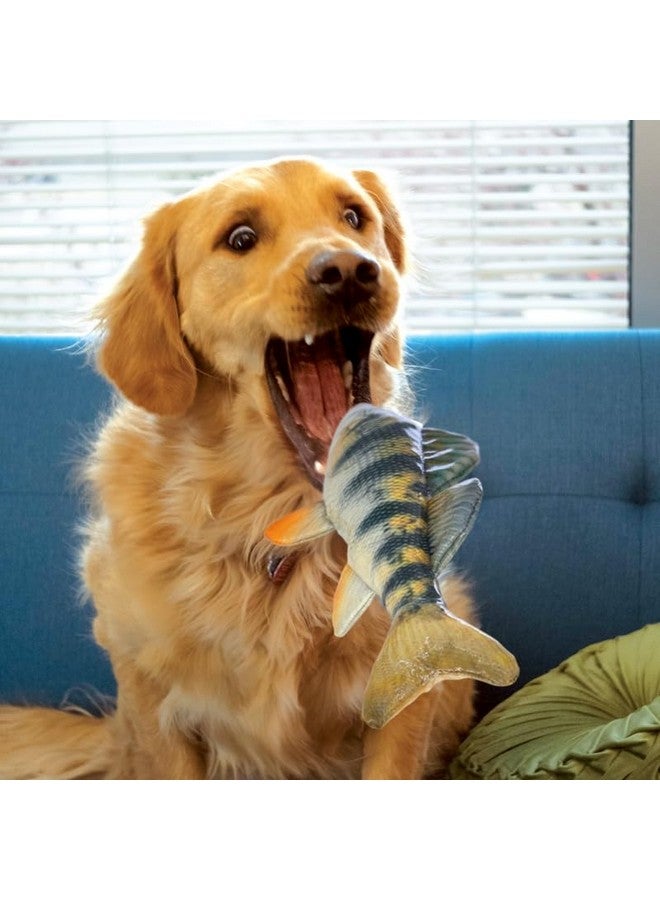 KONG Wild Shieldz Perch Dog Toy, Ultra-Durable Realistic Fish Shaped Triple-Sealed Training Toy, Floats on Water, Squeaking & Crackle Sounds, Easy to Grab, for Fetch, Toss, Exercise, Retrieve, Medium - Image 2