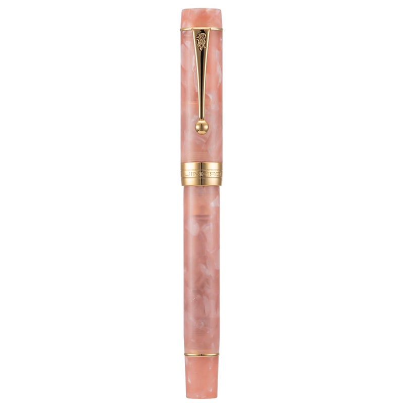 Lanxivi Jinhao Classic Fountain Pen Pink, Extra Fine Nib with Converter and Pen Case Set - Image 1