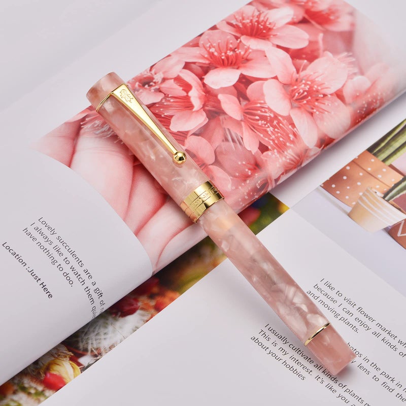 Lanxivi Jinhao Classic Fountain Pen Pink, Extra Fine Nib with Converter and Pen Case Set - Image 4