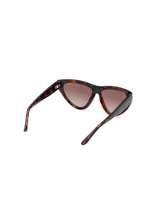 GUESS  Wayfarers Sunglasses for Women | Best Price UAE