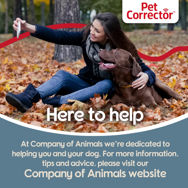 Company of Animals PET CORRECTOR Dog Trainer - Stops Barking, Jumping Up, Place Avoidance, Food Stealing, Dog Fights & Attacks. Help stop unwanted dog behaviour. Easy to use, safe, humane, and effective (50ml), AP00 - Image 4