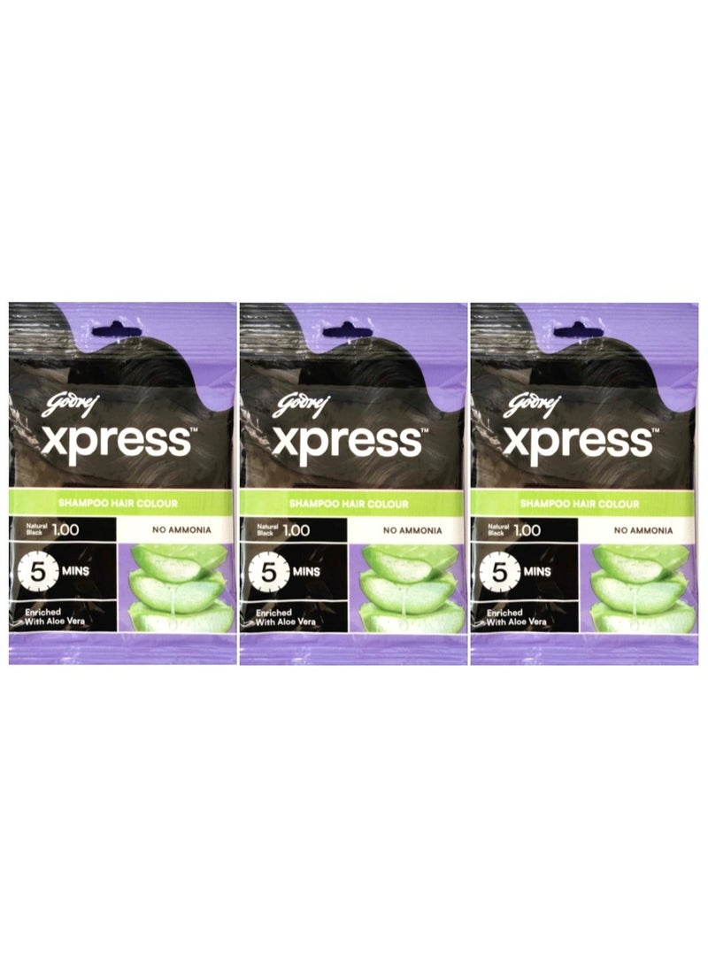 Godrej Xpress Shampoo Hair Colour Black 10ml Pack of 3 – No Ammonia, Enriched with Aloe Vera - Image 2