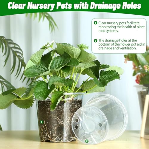 TAQIXI 6/8/10 Inch Large Clear Nursery Pots with Drainage, 24 Pack Plastic Plant Pots for Seedlings Flowers Succulents Vegetable, Indoor Outdoor Gardening (6/8/10 Inch-24Pack) - Image 5
